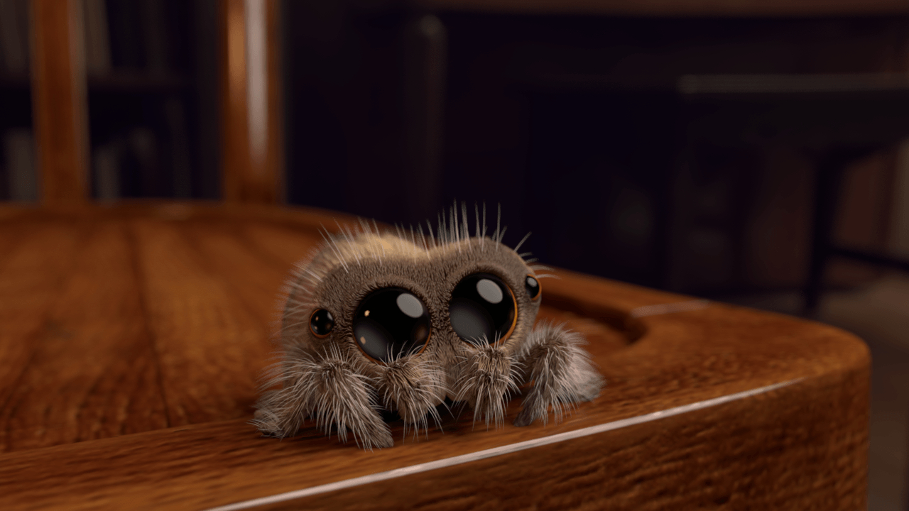 1280x720 Lucas the Spider, Desktop