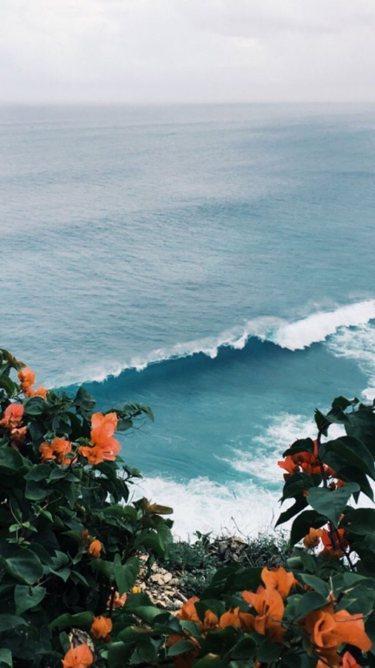 740x1310 Aesthetic Vintage Wallpaper, Phone