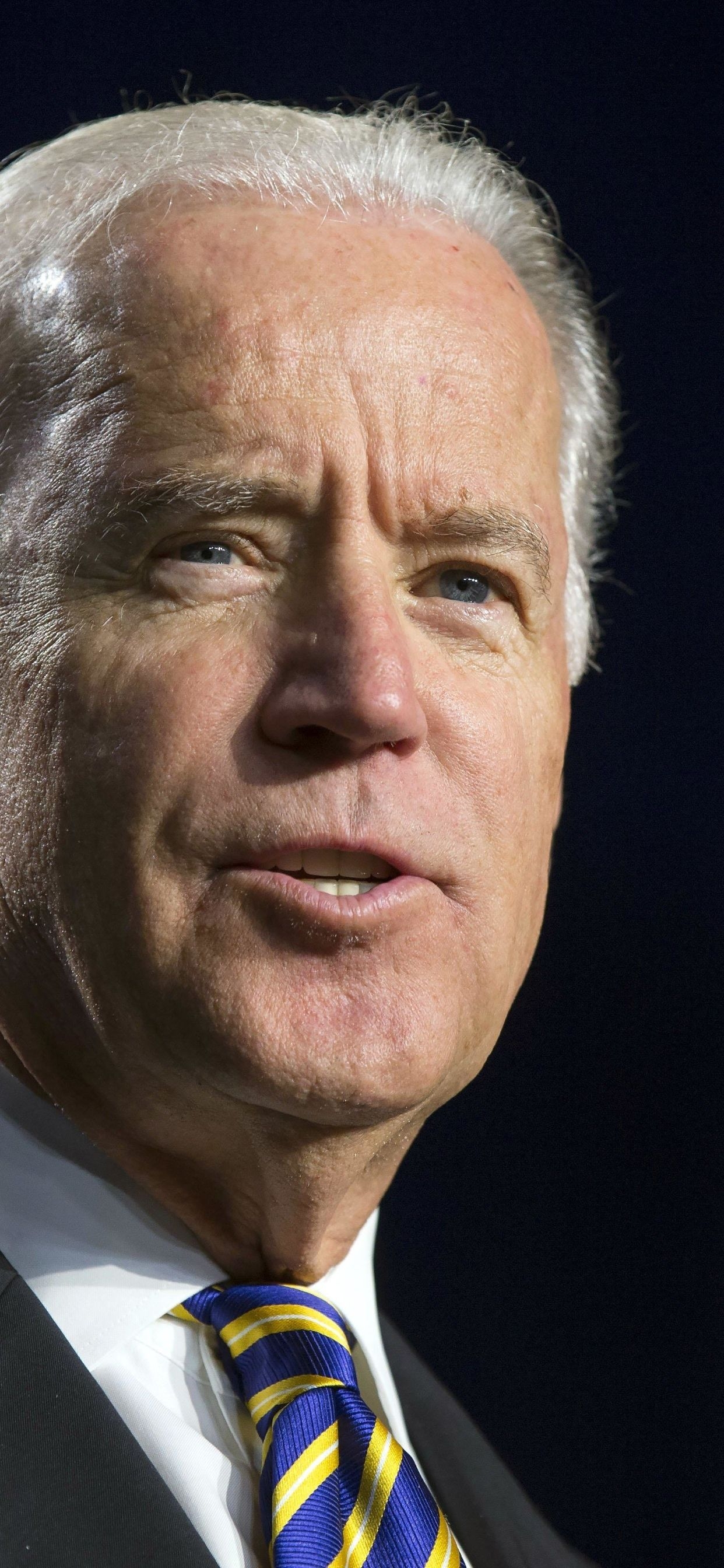 1250x2690 joe biden, hunter biden, biden iPhone XS MAX Wallpaper, Phone