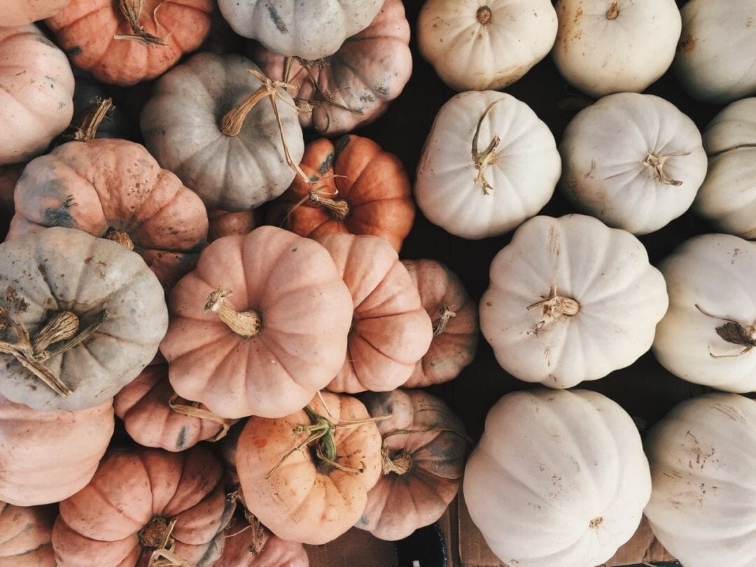 1080x810 Aesthetic Pumpkin, iPhone, Desktop HD Background / Wallpaper (1080p, 4k) (png / jpg) (2021), Desktop