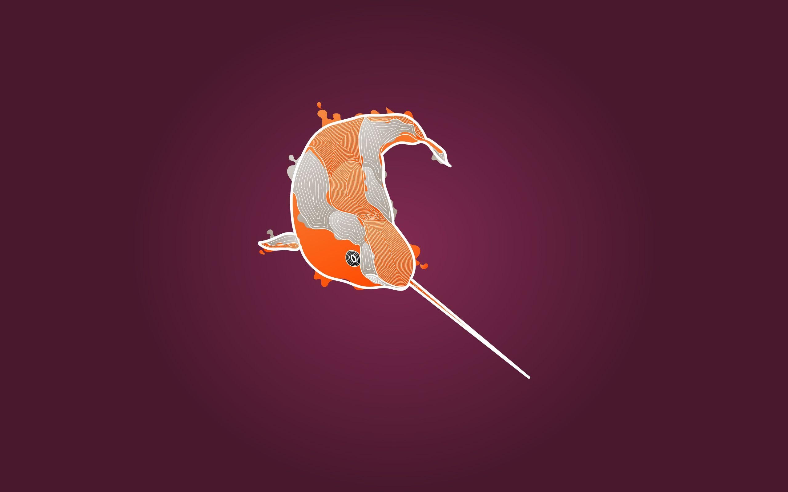 2560x1600 Download the Koi Narwhal Wallpaper, Koi Narwhal iPhone Wallpaper, Desktop