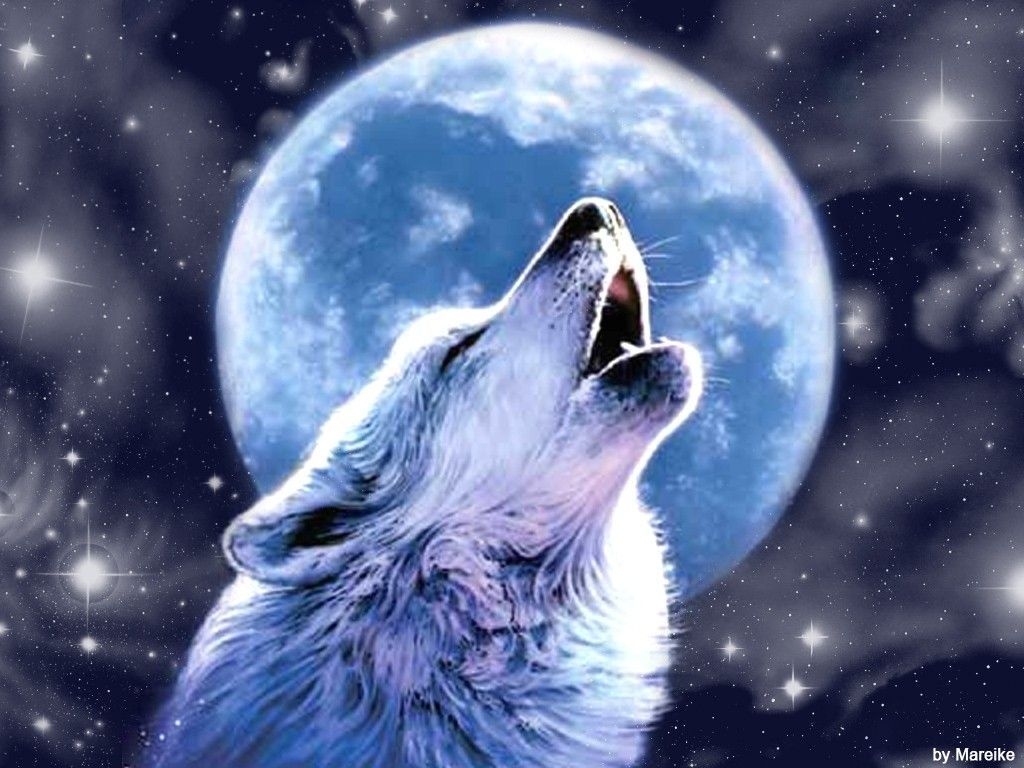 1030x770 Kawaii Wolf Wallpaper Free Kawaii Wolf Background, Desktop