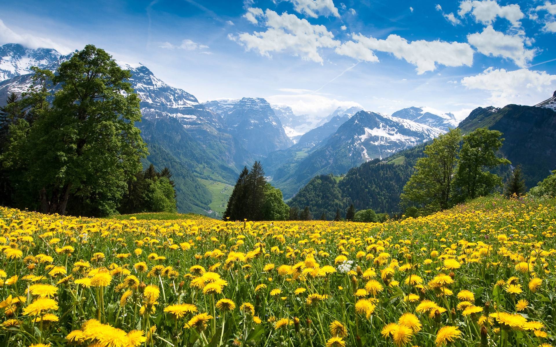 1920x1200 Scene 2014 of Alps Mountain See Both Summer / Wallpaper Summer, Desktop