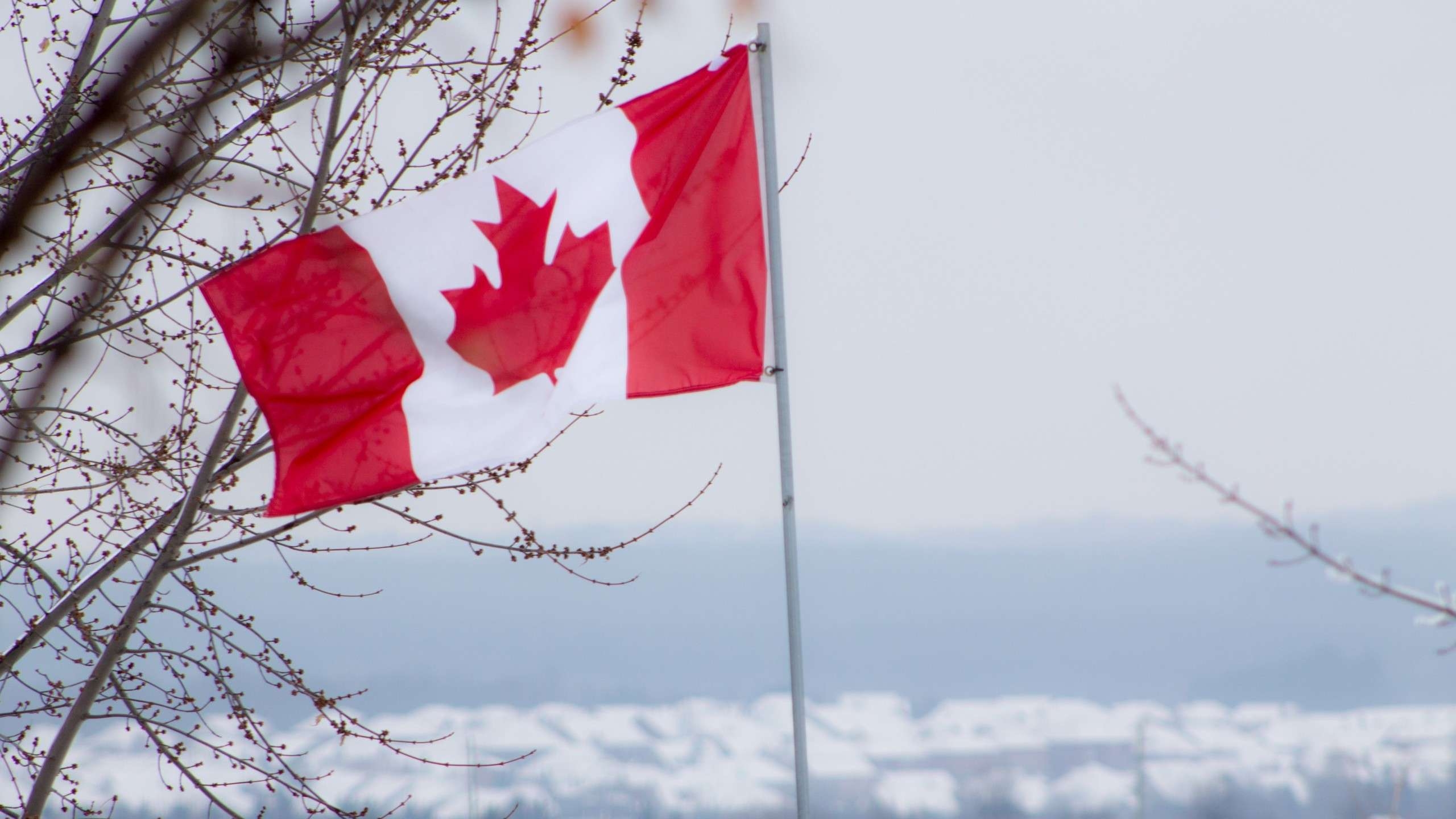 2560x1440 Flag Of Canada Wallpaper HD Best Colection Of Canadian Flag, Desktop