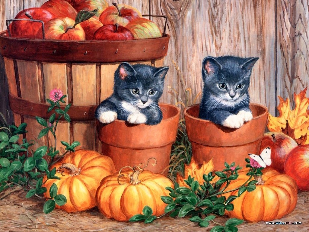 1030x770 Persis Clayton Weirs, artist twin kittens amid pumpkins. Halloween art, Halloween painting, Cat painting, Desktop