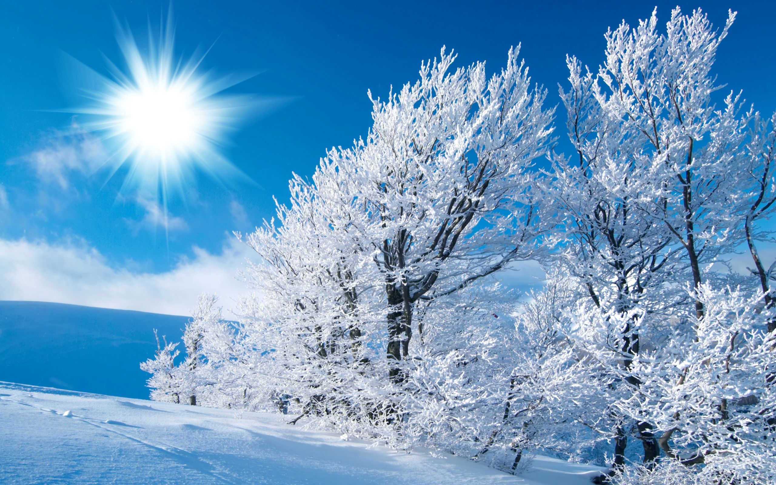 2560x1600 Winter Background. Cute Winter Wallpaper, Winter Wallpaper and Christmas Winter Wallpaper, Desktop