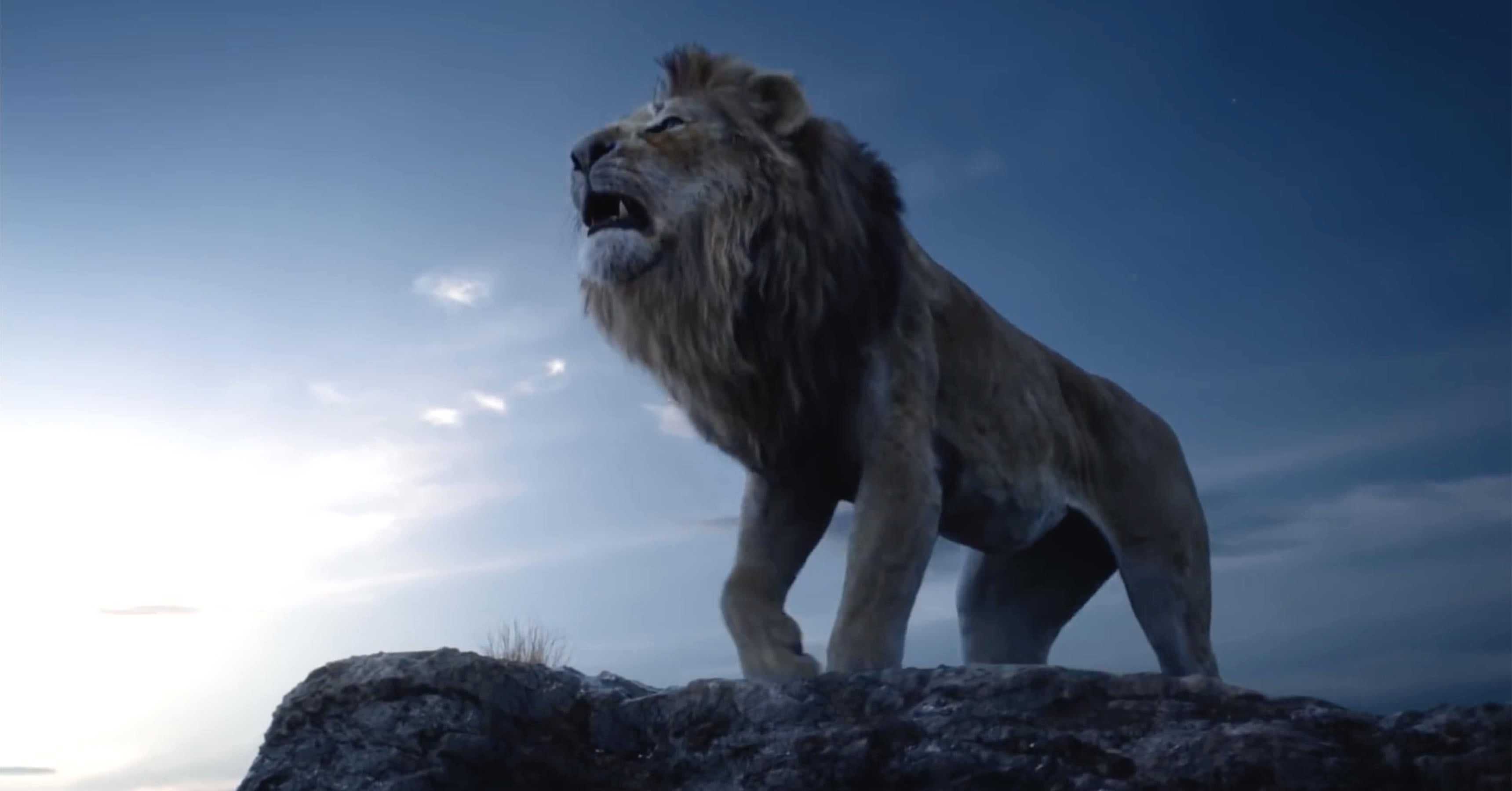 3440x1800 Lion King HD Wallpaper 2019 Wallpaper Foto In 2019, Desktop