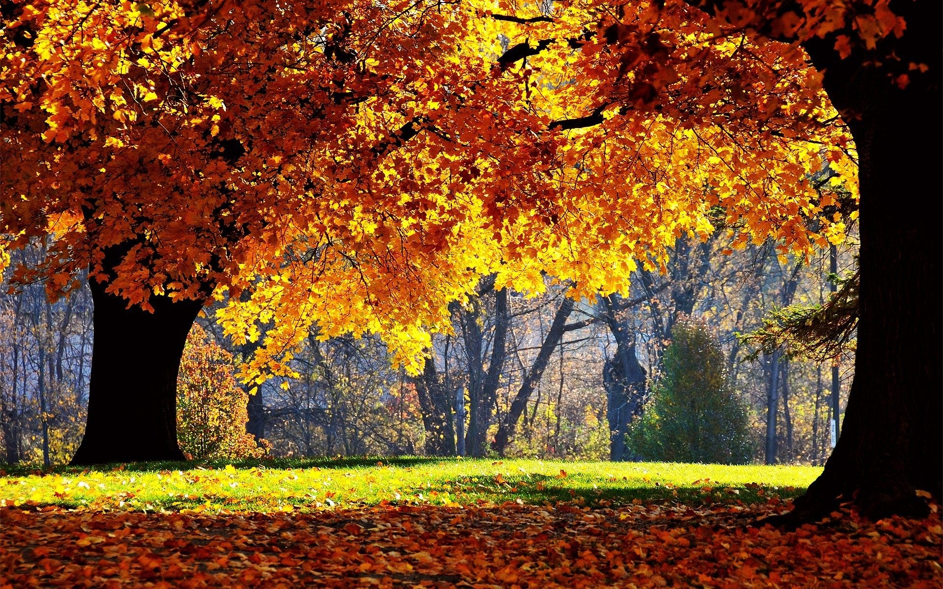 1920x1200 Fall Wallpaper Desktop, Desktop