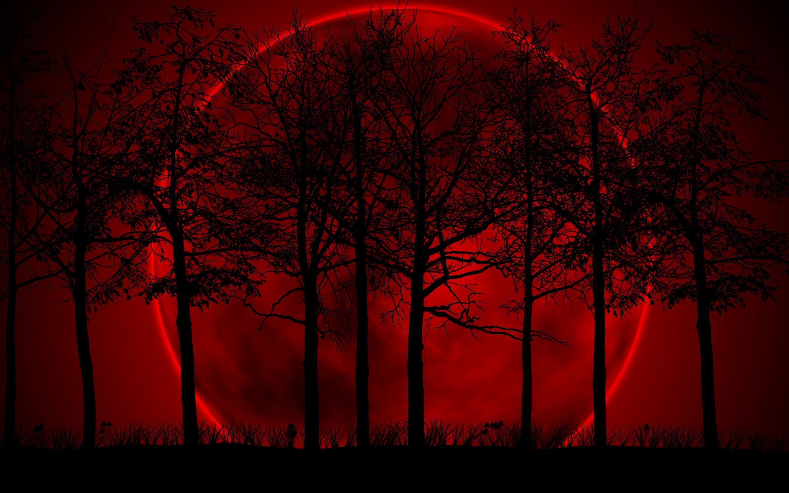 2560x1600 Blood Moon Wallpaper Free Blood Moon Background, Desktop