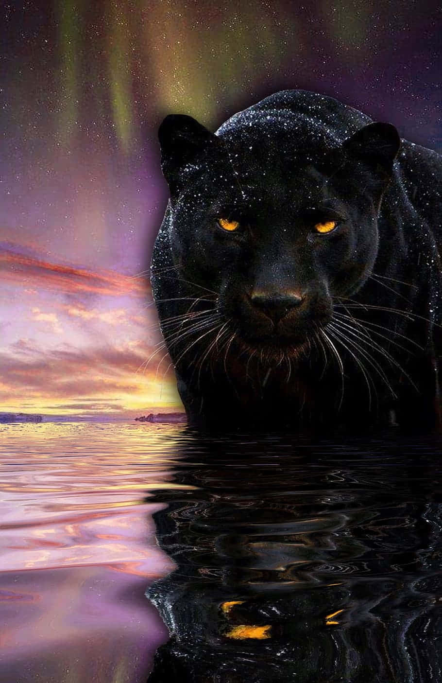 910x1410 Cool Black Panther Animal Wallpaper, Phone