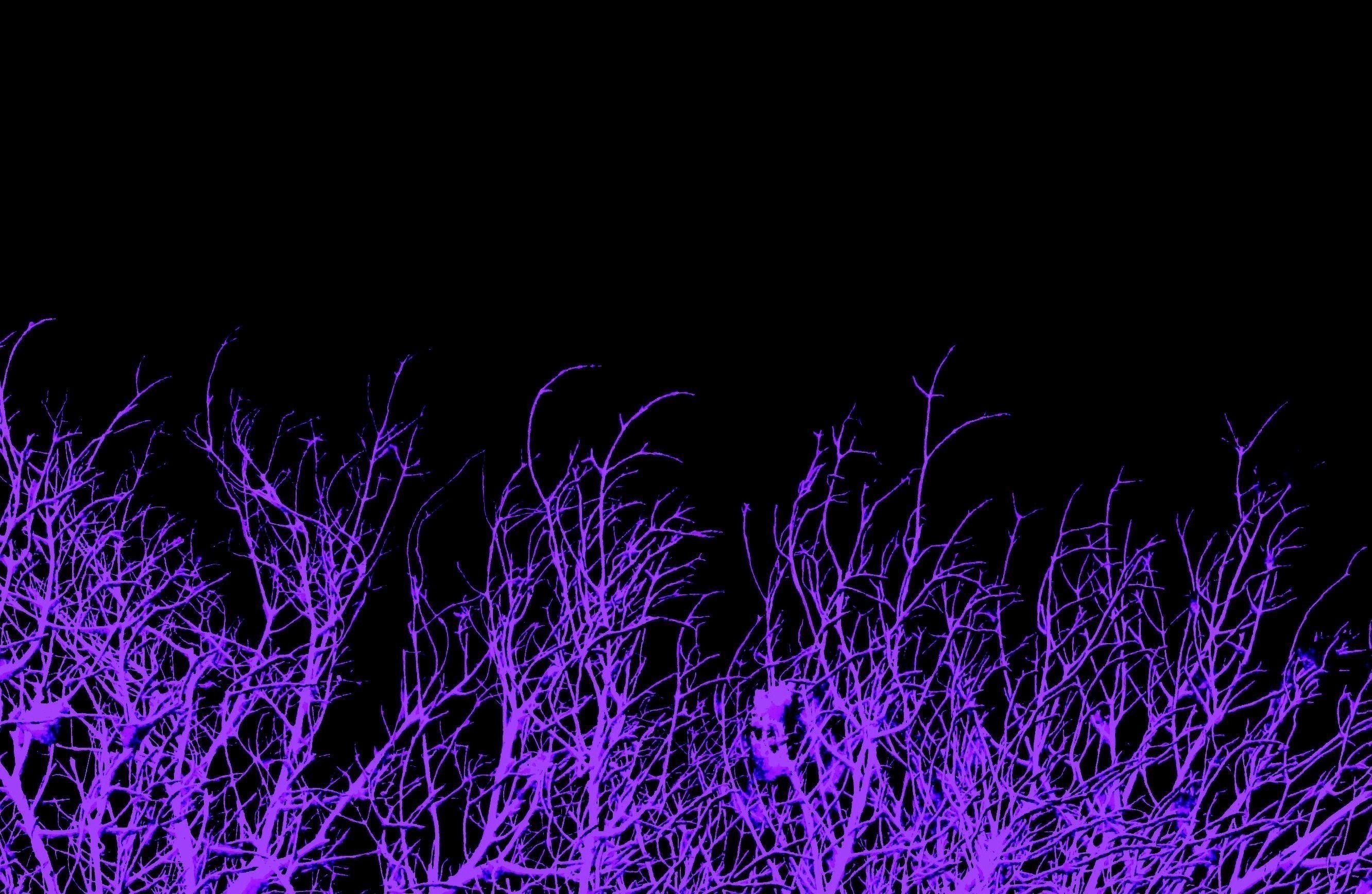 2670x1740 Purple Aesthetic Tumblr Laptop Wallpaper Free Purple Aesthetic Tumblr Laptop Background, Desktop