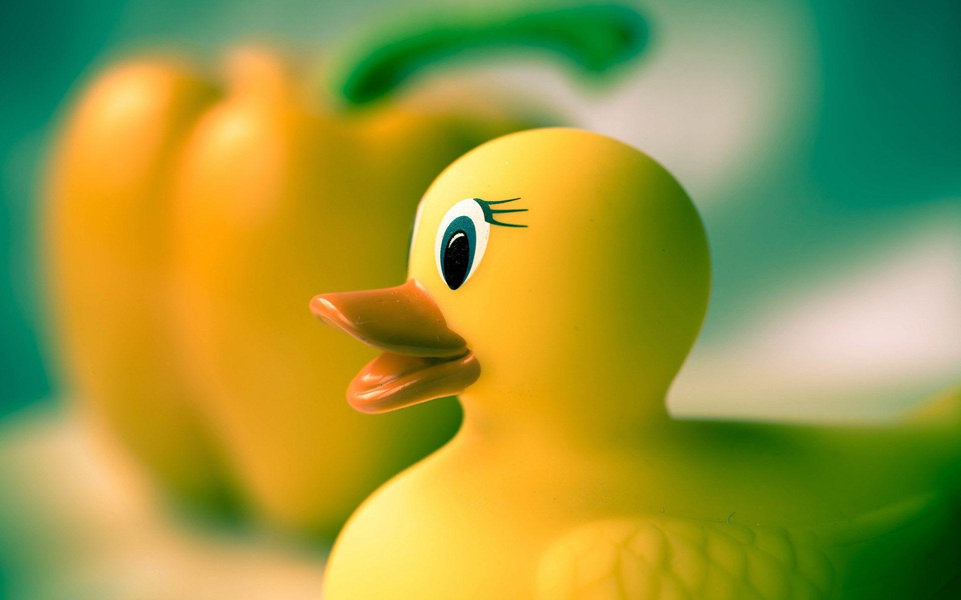 1920x1200 Rubber Duck Yellow Toy, Desktop