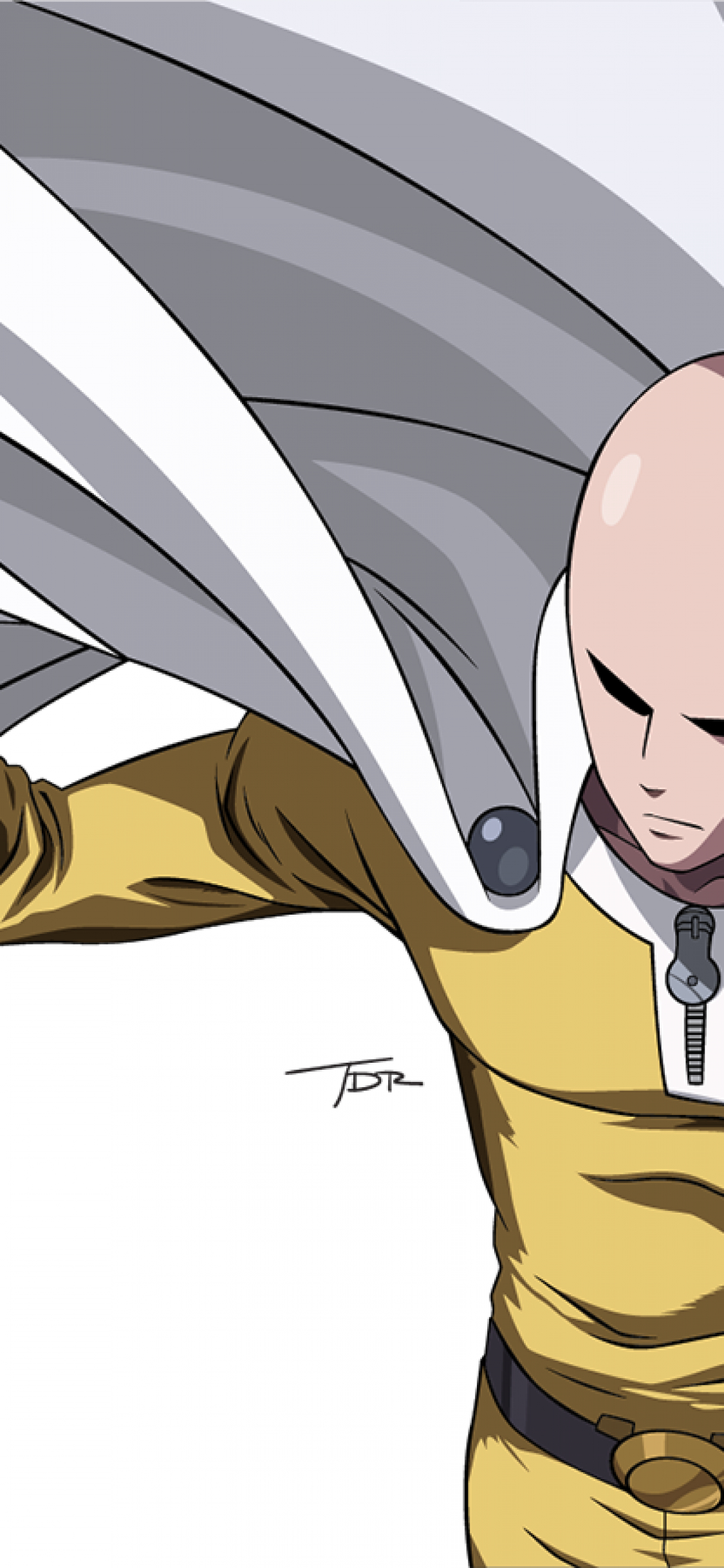 1130x2440 Download  One Punch Man, Saitama, Cape, Bald, Hero, Bodysuit Wallpaper for iPhone X, Phone