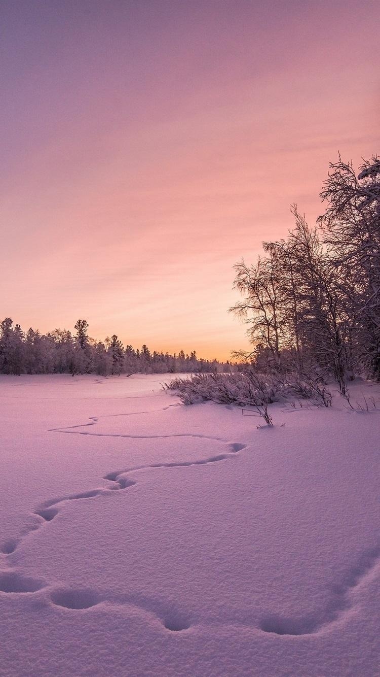 750x1340 Winter, Snow, Trees, Sunset  IPhone 8 7 6 6S Wallpaper, Phone