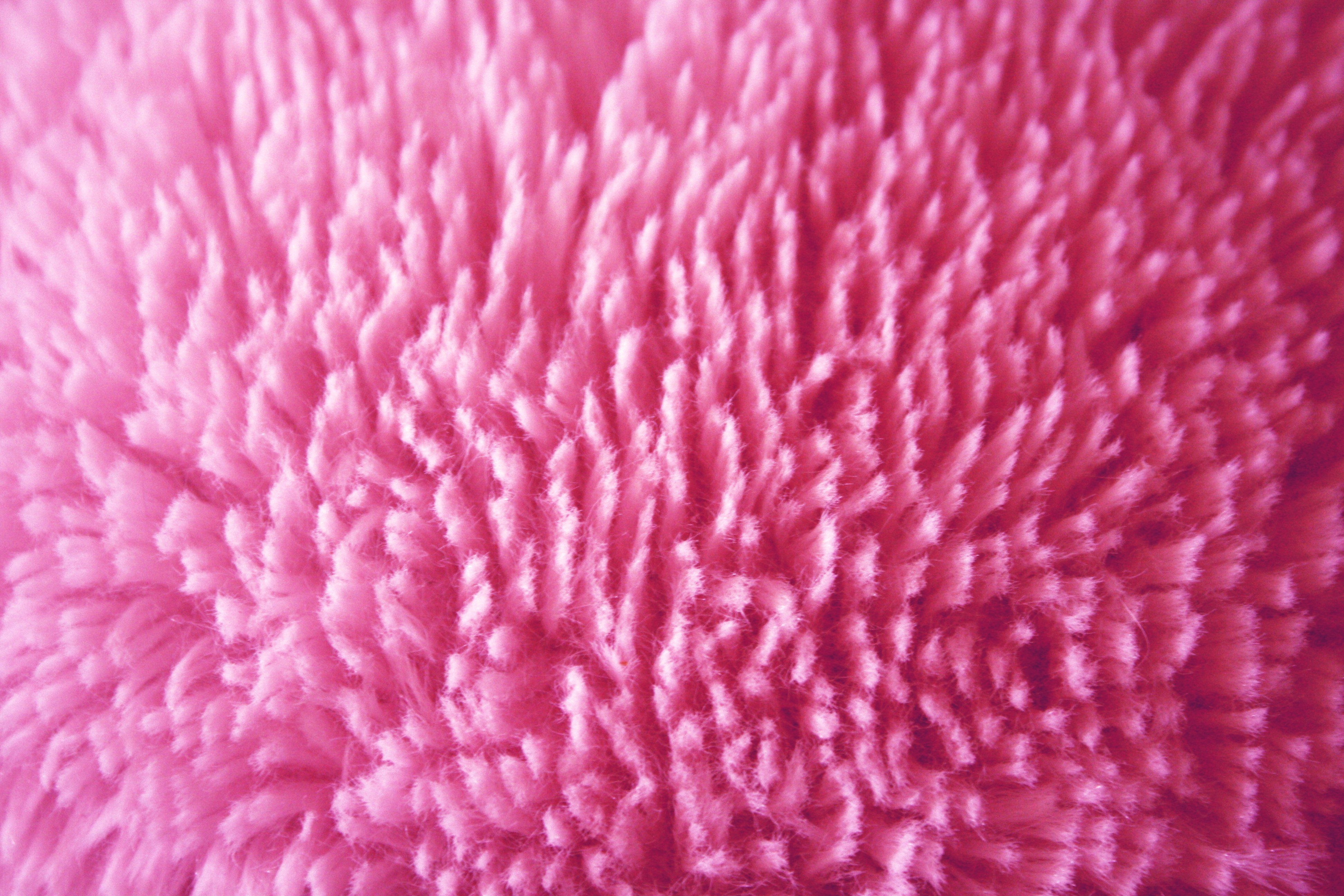 3890x2600 Free download Plush Pink Fabric Texture Picture Photograph Photo, Desktop