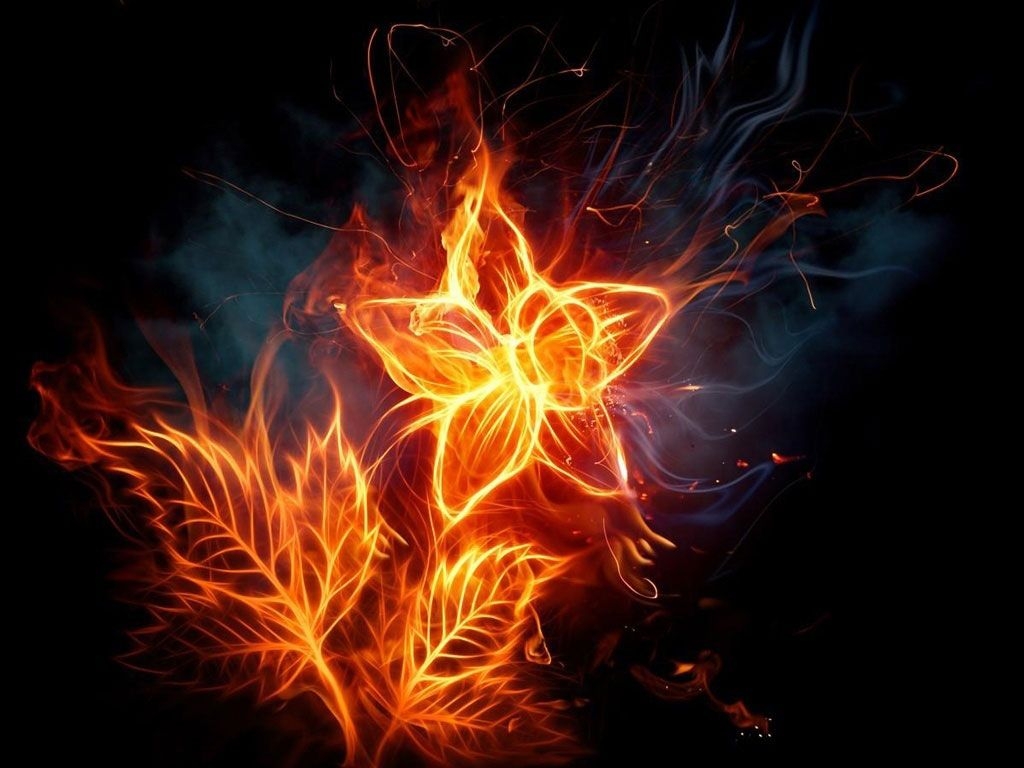 1030x770 Fiery Flowers Tablet wallpaper and background, Desktop