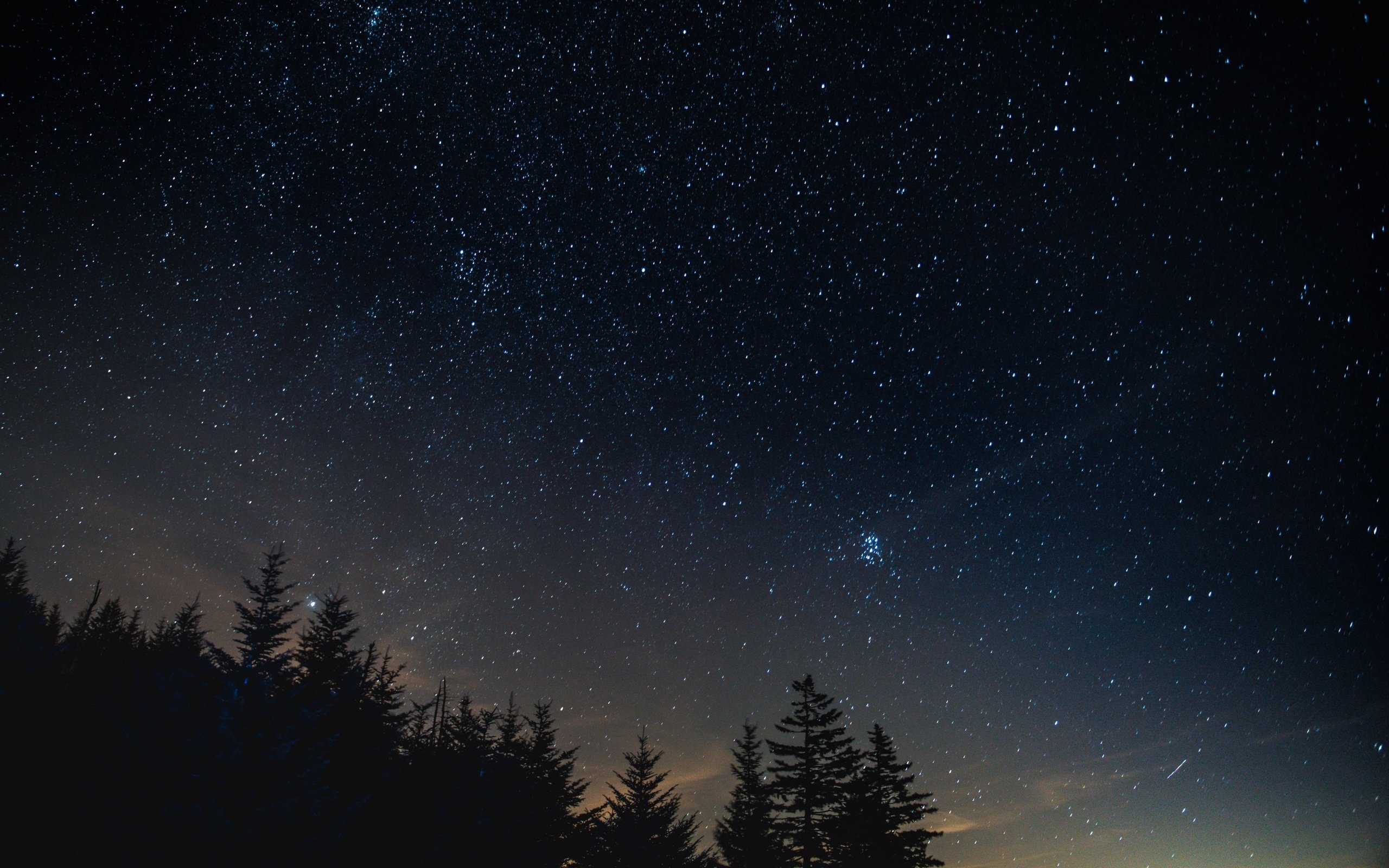 2560x1600 Download wallpaper  starry sky, night, trees, night, Desktop