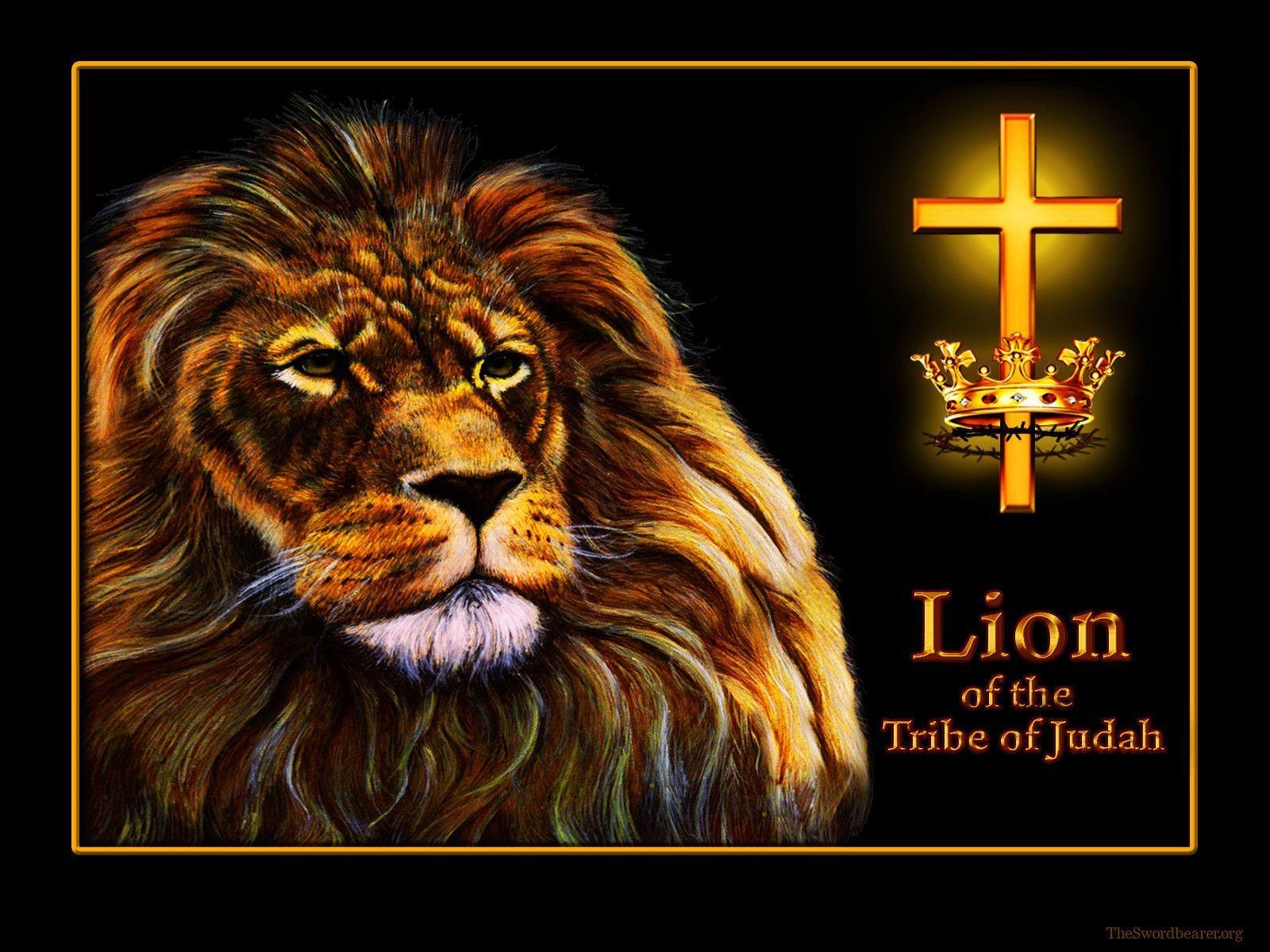 1600x1200 Wallpaper: Lion of the tribe of Judah, Desktop