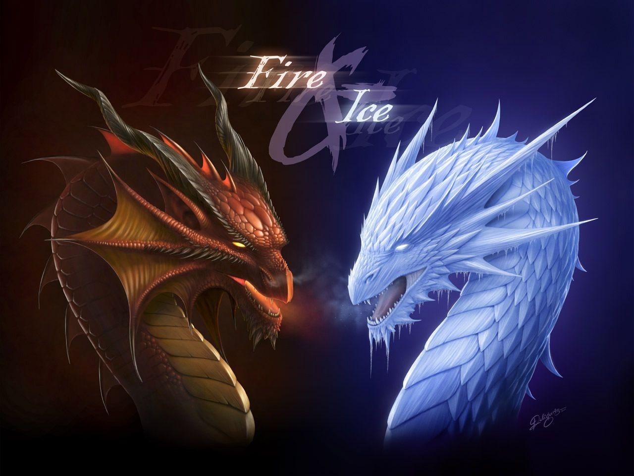 1280x960 Fire and Ice Dragon Wallpaper Free Fire and Ice Dragon, Desktop