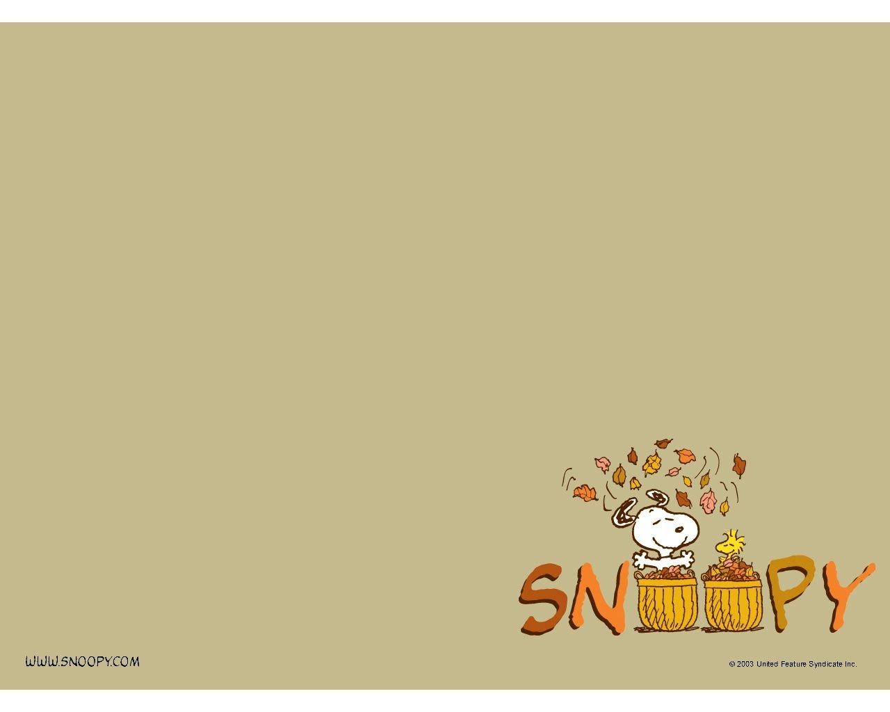 1280x1030 Pix For > Peanuts Thanksgiving Cover Photo, Desktop