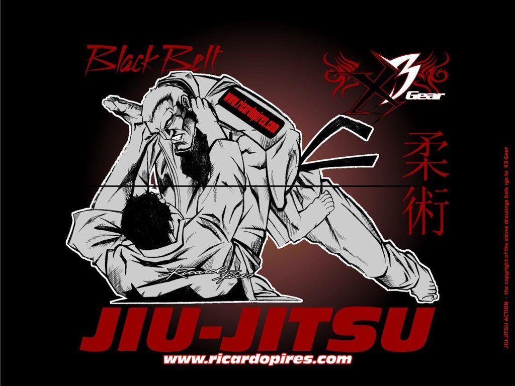 1030x770 Gracie Jiu Jitsu Wallpaper, Desktop