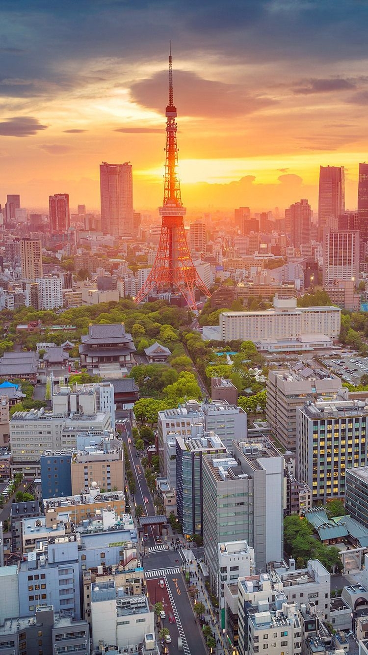 750x1340 Morning In Tokyo iPhone iPhone 6S, iPhone 7 HD 4k Wallpaper, Image, Background, Photo and Picture, Phone