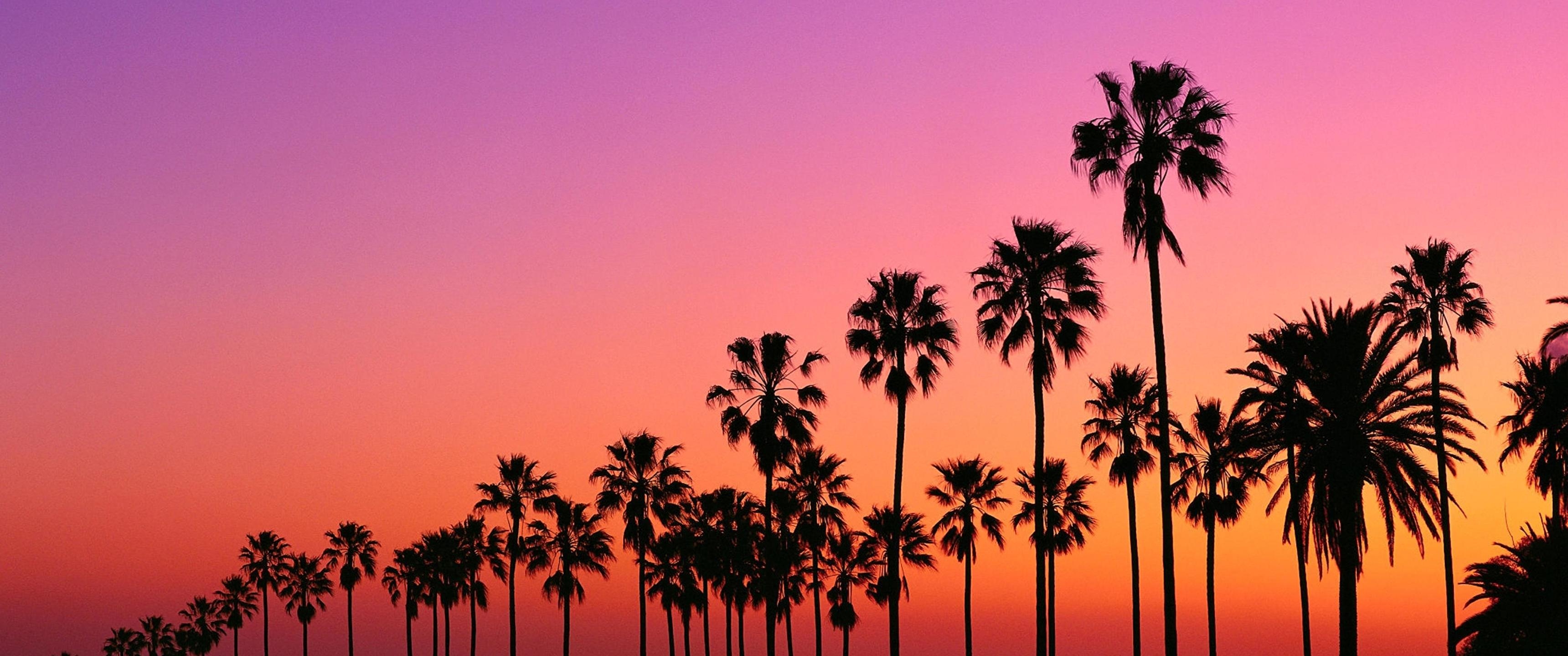 3440x1440 Los Angeles sunset with palm trees, Dual Screen