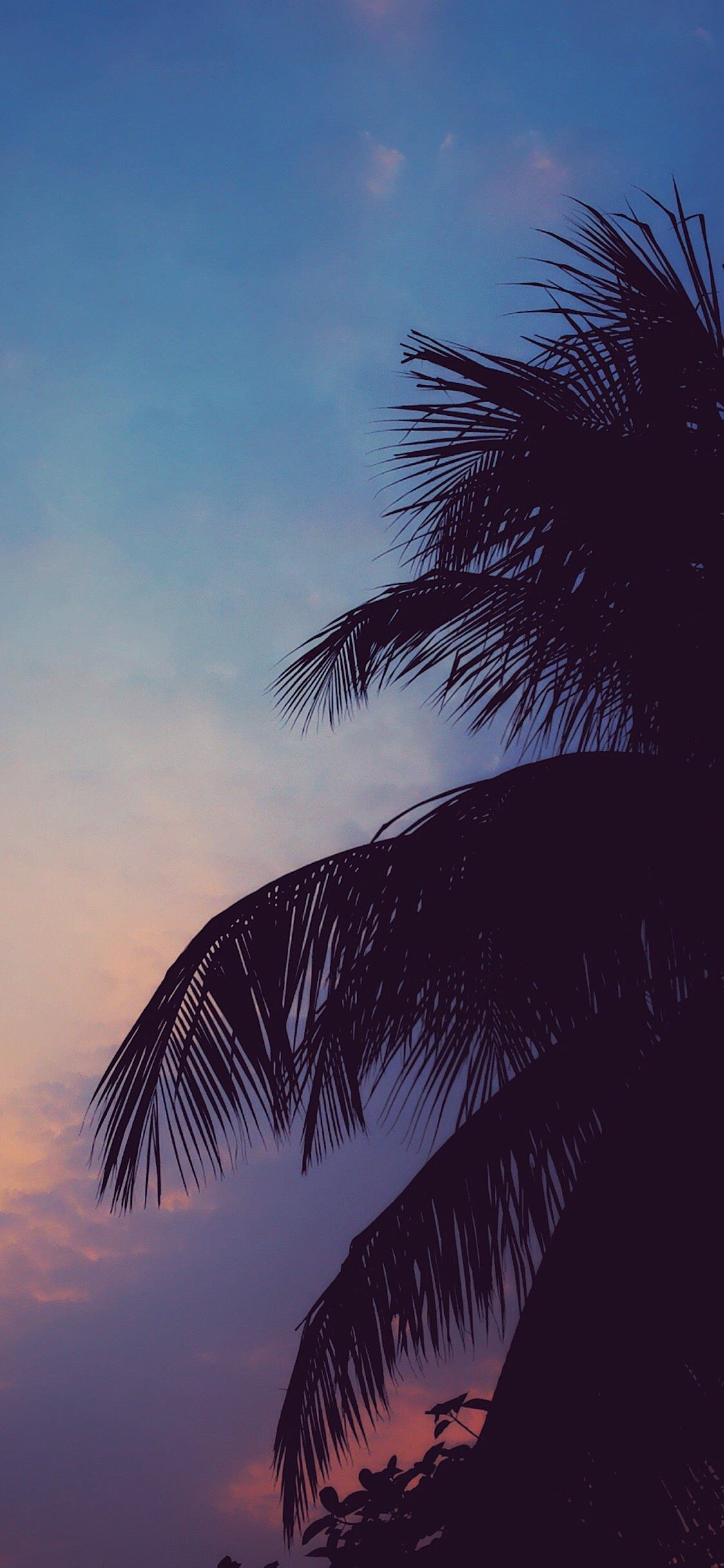 1130x2440 chill vibes. Chill wallpaper, Sky aesthetic, iPhone wallpaper tumblr aesthetic, Phone