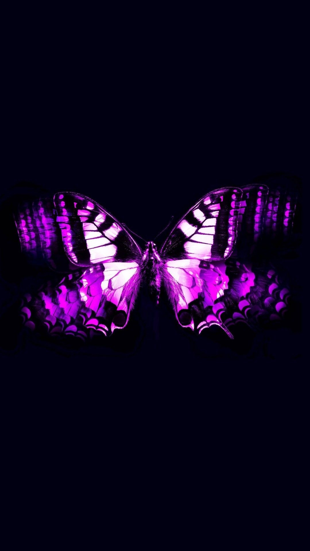 1080x1920 Pin Purple Rose Clipart Real Butterfly Wallpaper Purple, Phone