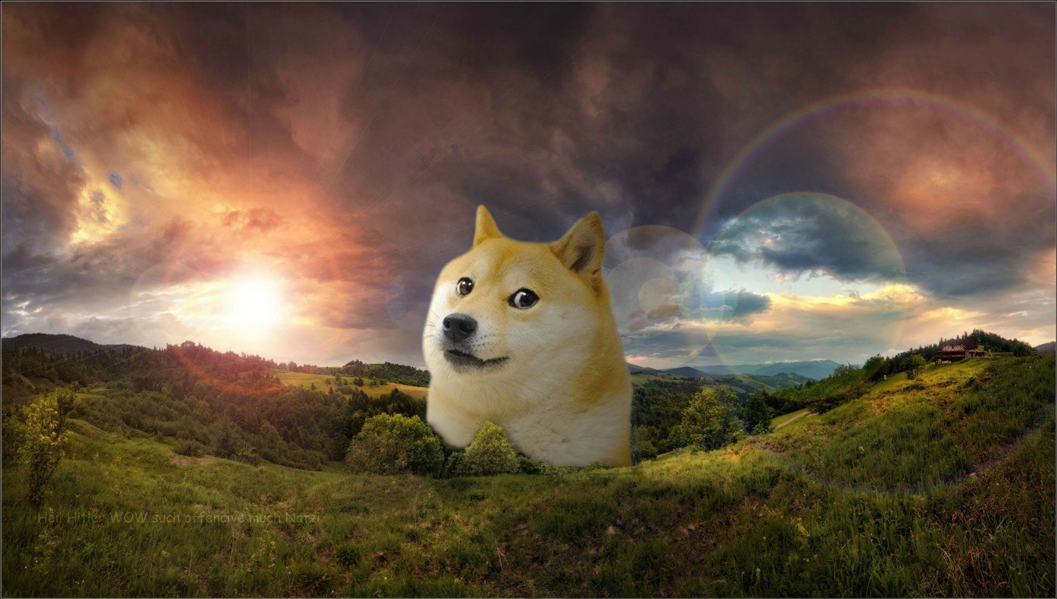 3370x1910 Doge Wallpaper Free Doge Background, Desktop