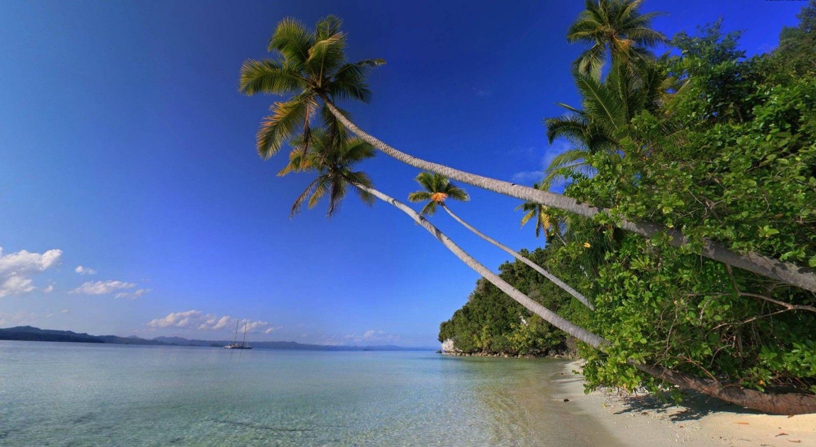 1600x880 Palms Tag wallpaper: Negombo Sand Sri Lanka Palms Beach, Desktop