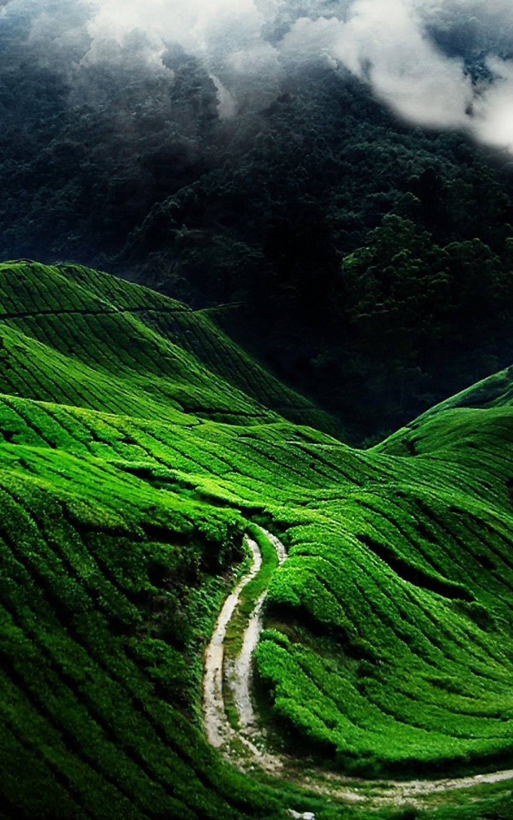 1000x1600 Green Mountains Mobile Wallpaper, Phone