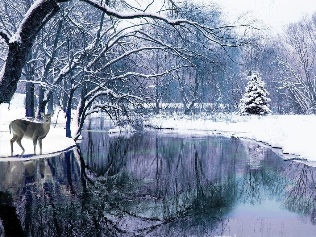 1030x770 Winter Wonderland Wallpaper For Computer. Free Download Wallpaper. Winter scenery, Winter wallpaper, Winter picture, Desktop