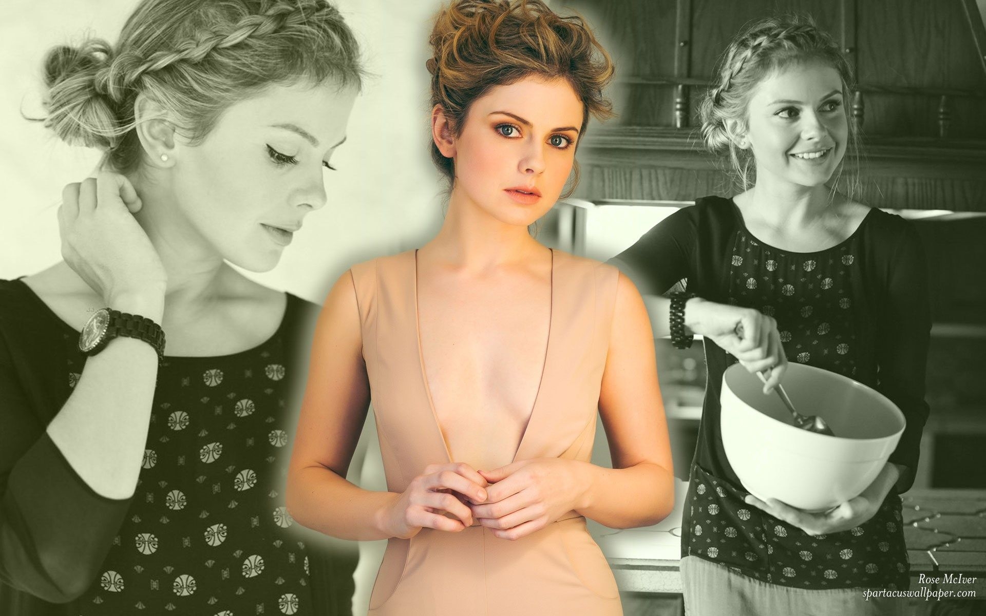 1920x1200 rose mciver HD wallpaper. Rose mciver, Rose, Free wallpaper, Desktop