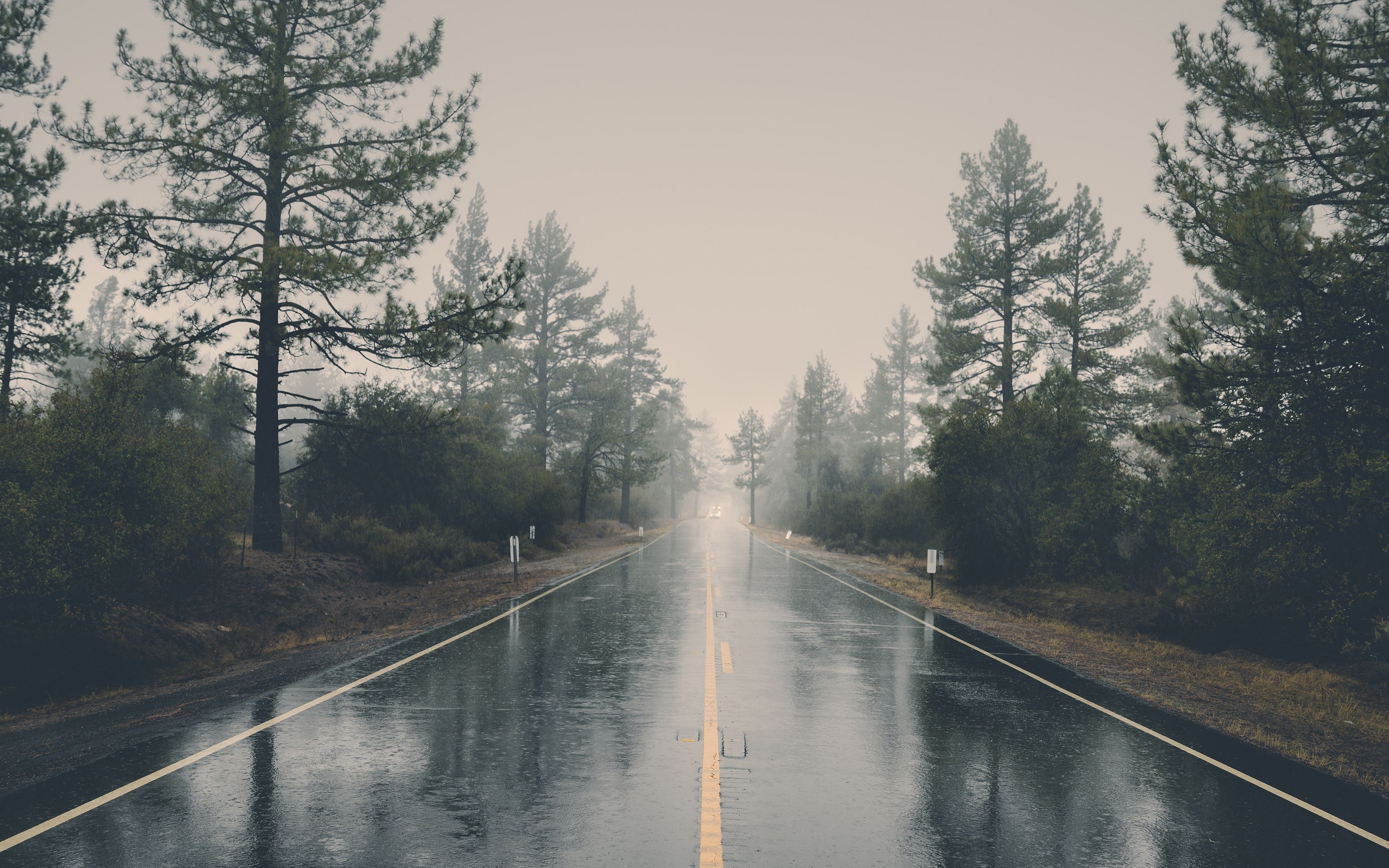 3840x2400 Rain Road Street City Nature Wallpaper, Desktop