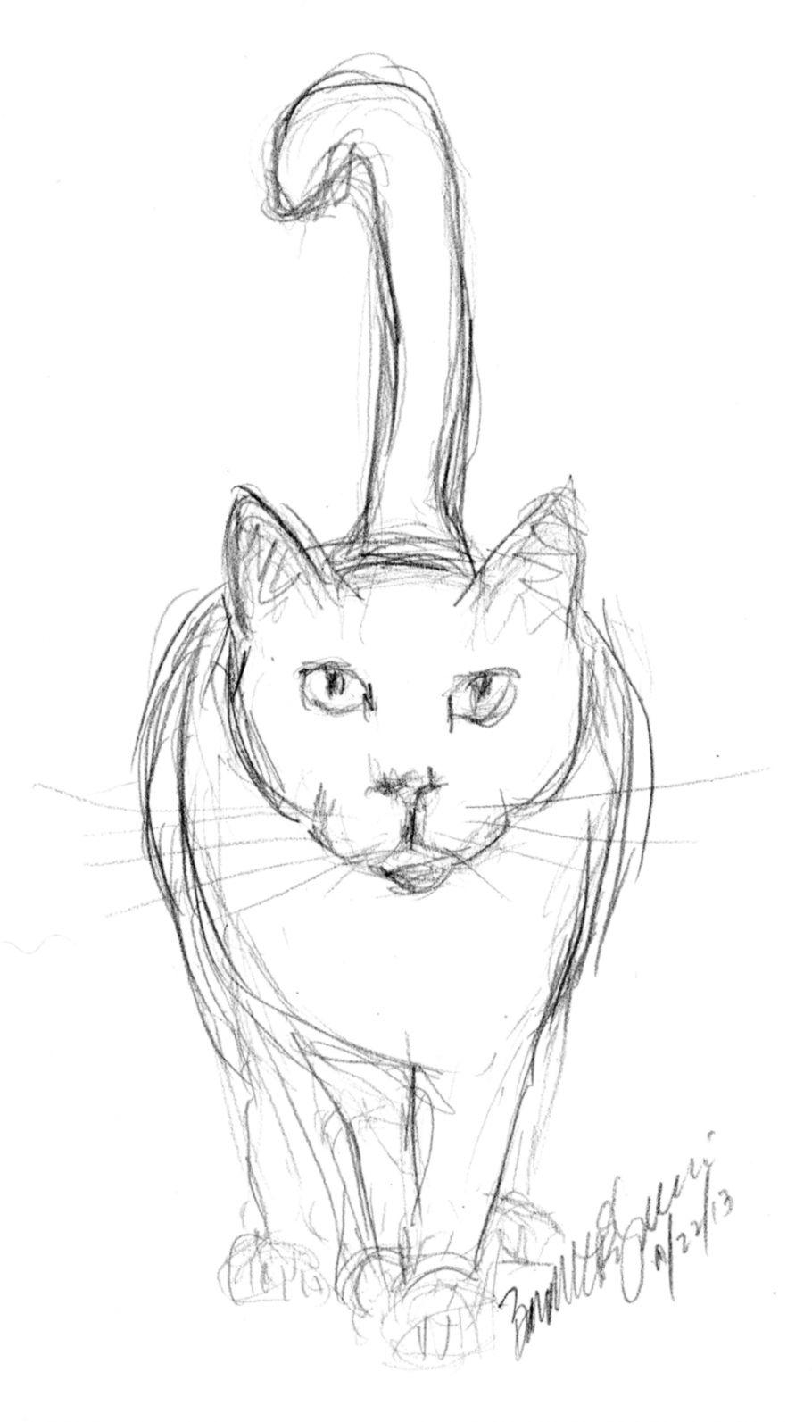 910x1600 Easy Cat Drawings In Pencil, Phone