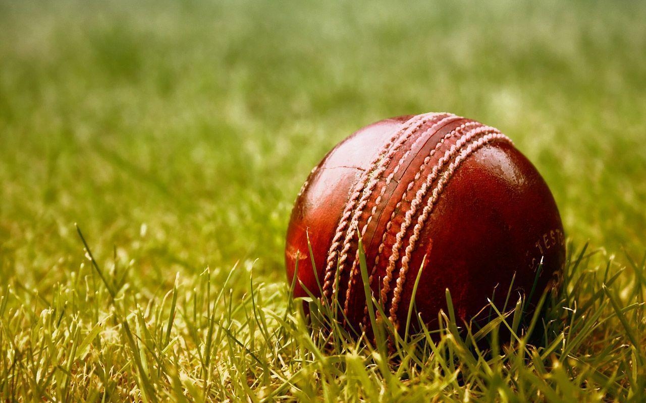 1280x800 Cricket HD Wallpaper, Desktop