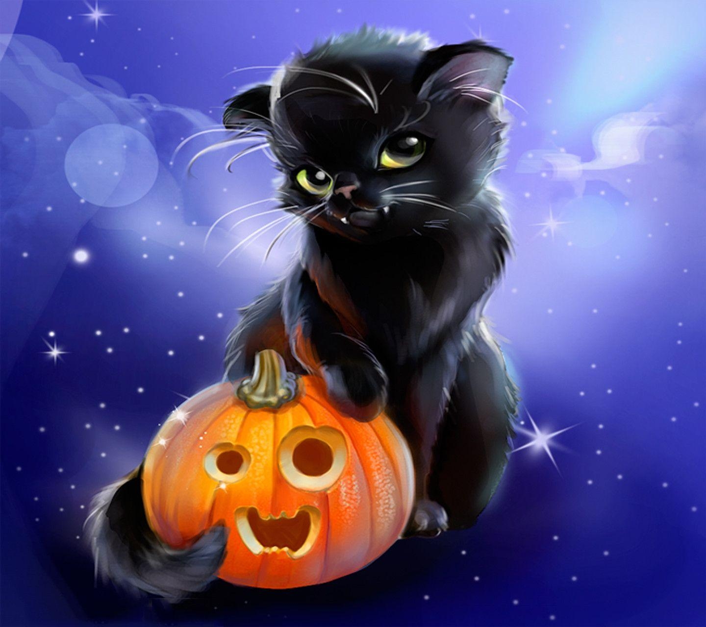 1440x1280 Halloween cats wallpaper Gallery, Desktop