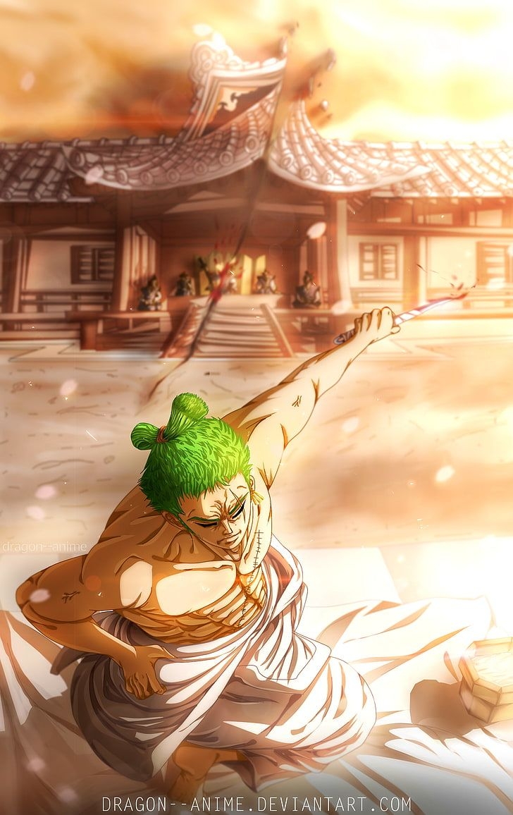 730x1160 HD wallpaper: Roronoa Zoro, One Piece, anime, built structure, architecture, Phone