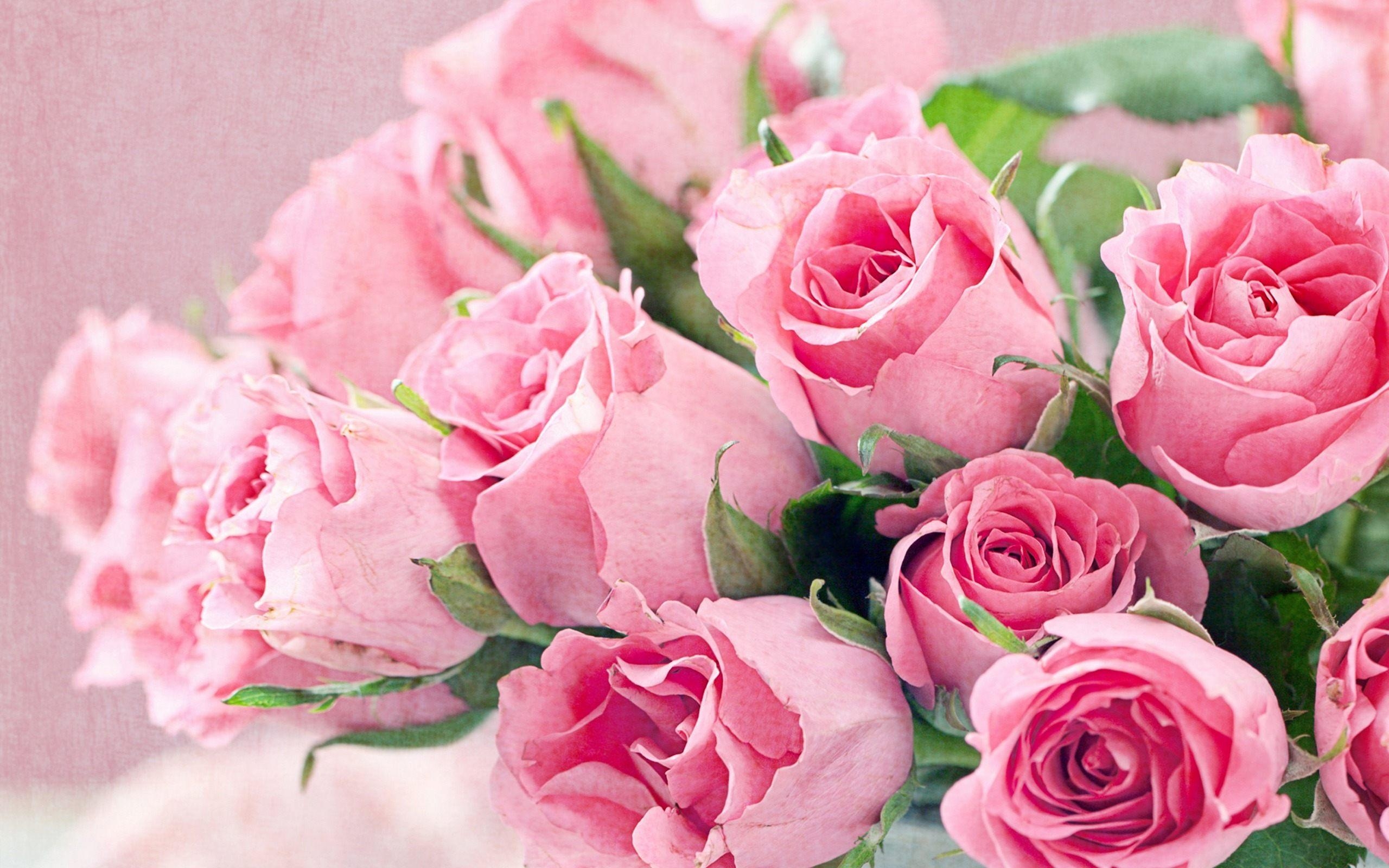 2560x1600 Fresh Flowers Bouquet Of Pink Roses HD Desktop Background Free, Desktop