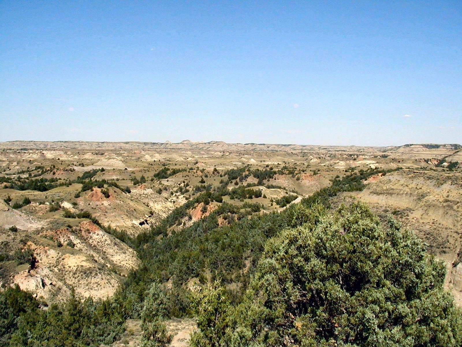 1600x1200 Theodore Roosevelt National Park, North Dakota, Desktop