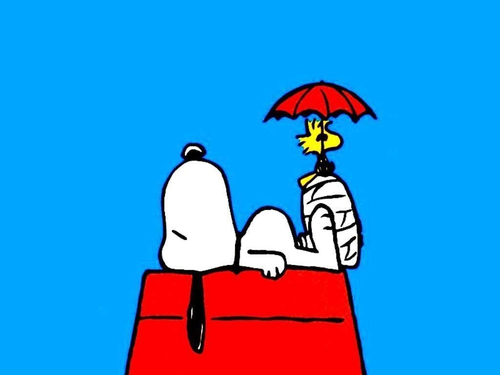 1030x770 Snoopy Wallpaper, Desktop