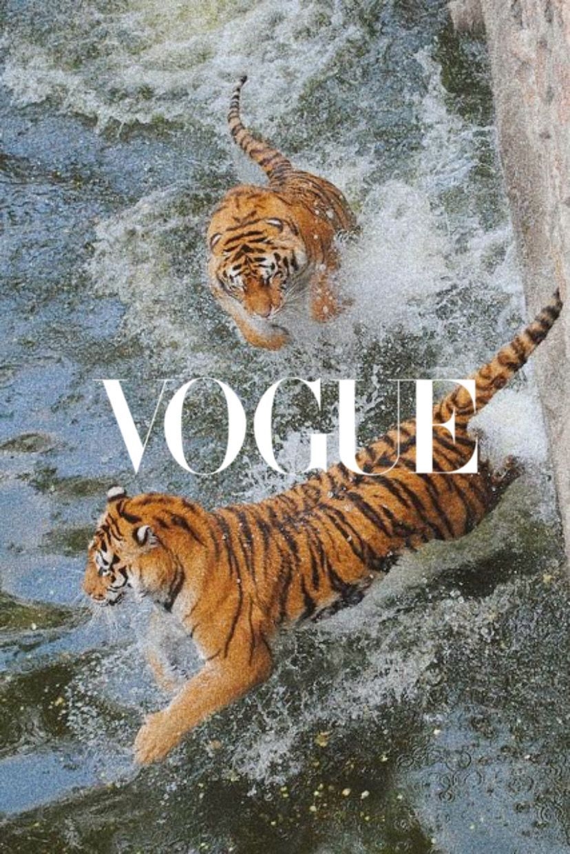 830x1250 tiger x vogue. Art collage wall, Picture collage wall, Aesthetic collage, Phone