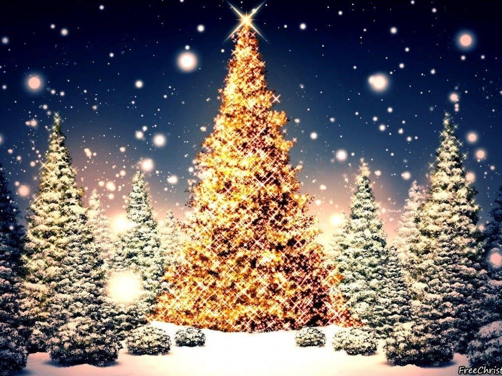 1030x770 Blessed Yule Wallpaper, Blessed Christmas Tree Red 1366x768, Desktop