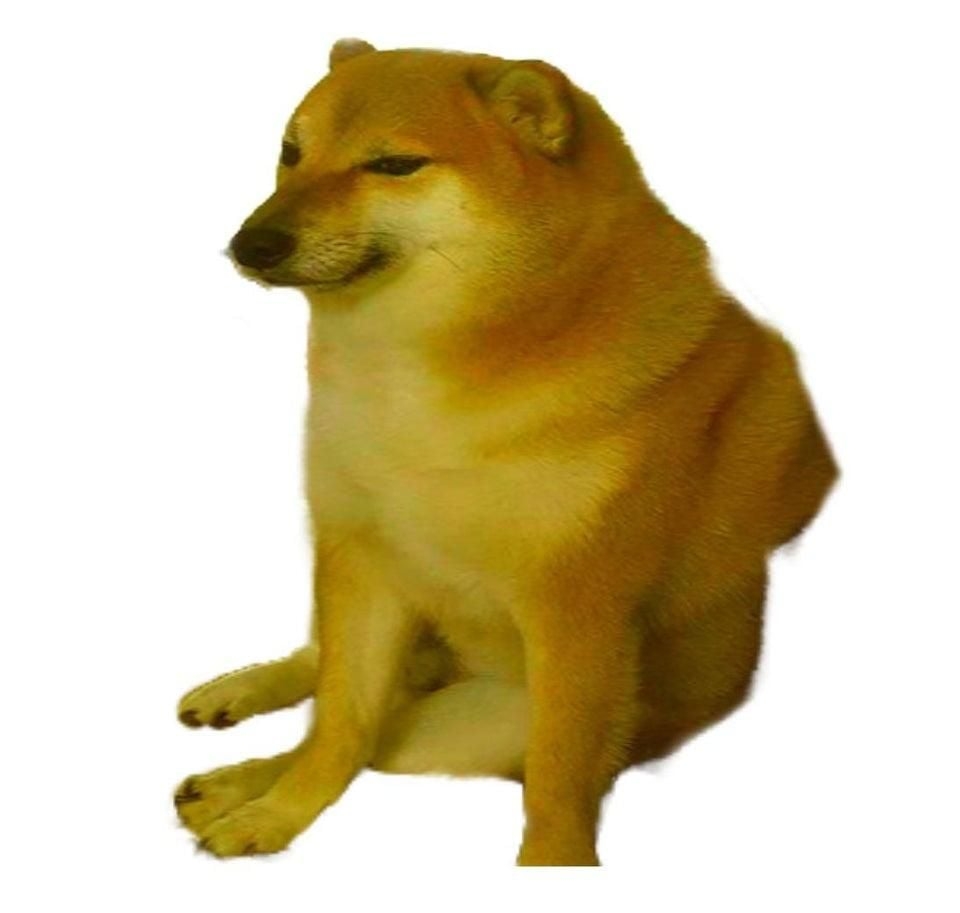 960x920 Cheems. Doge meme, Stupid memes, Funny memes, Desktop