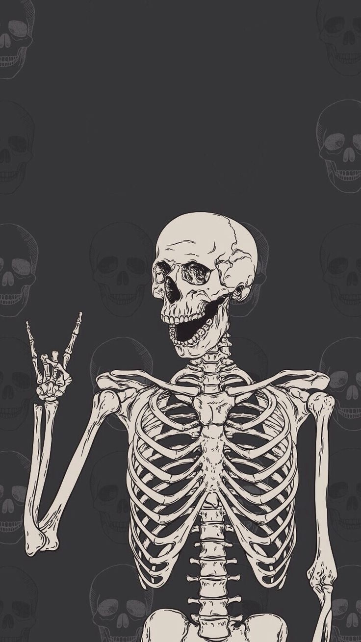 740x1310 Cute Skeleton Wallpaper Free.wallpaperaccess.com, Phone