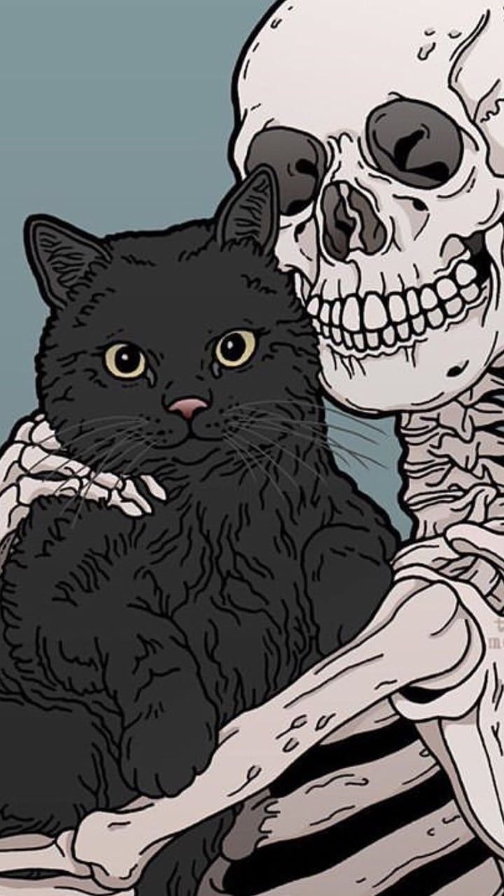 720x1280 Kitty and Skeleton cats pets cute. Skull wallpaper, Halloween wallpaper iphone, Witchy wallpaper, Phone