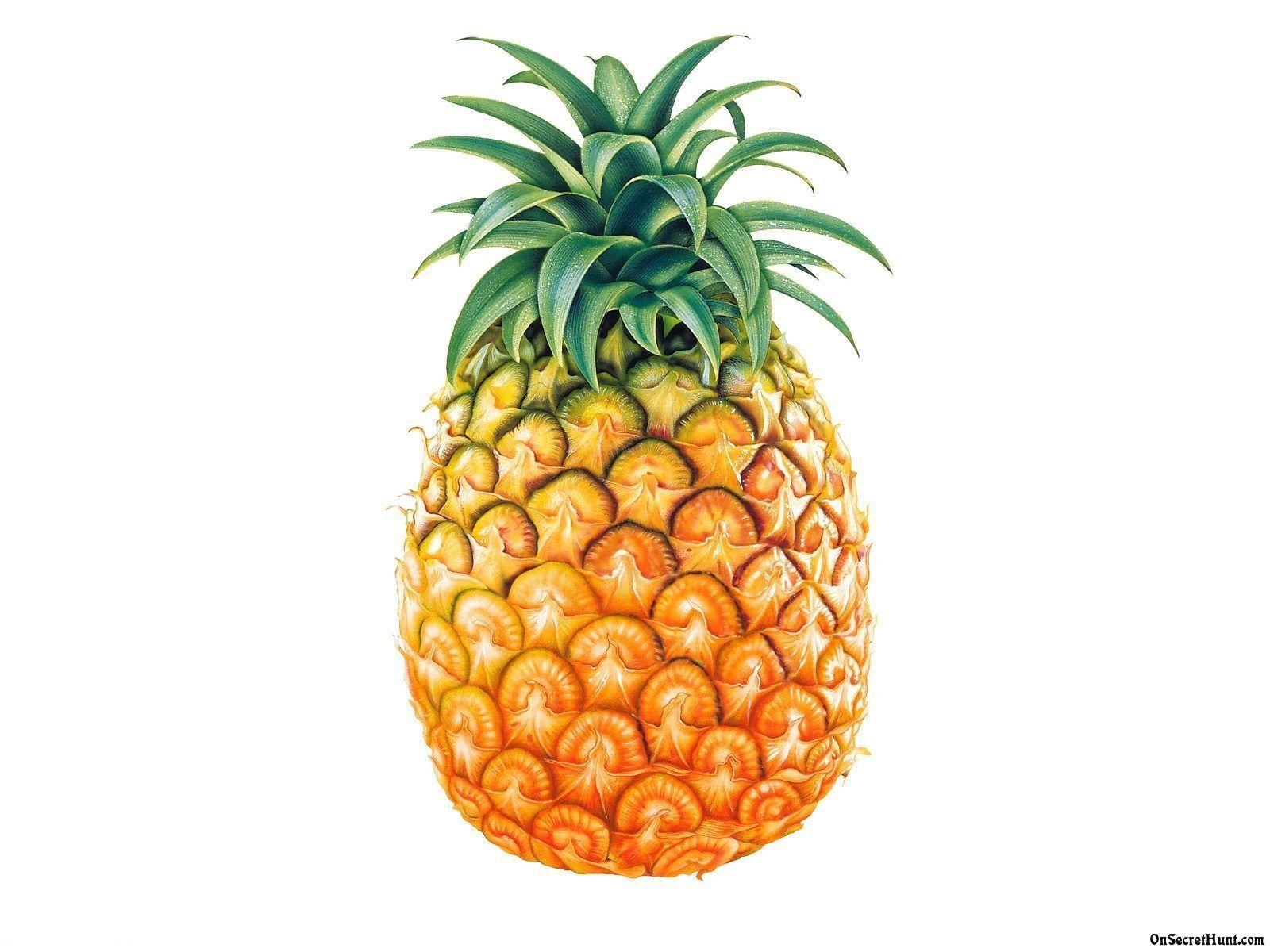 1600x1200 Pineapple wallpaperx1200, Desktop