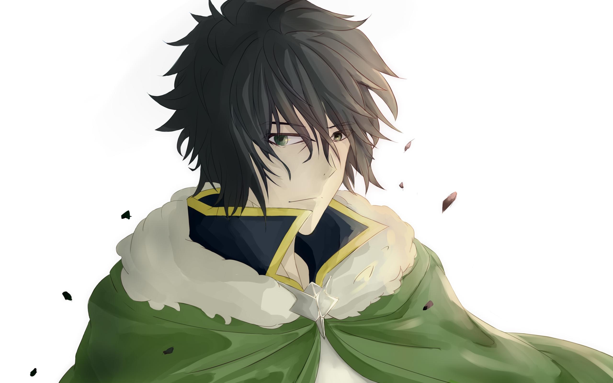 2560x1600 Wallpaper The Rising of the Shield Hero, Naofumi Iwatani Desktop, Desktop