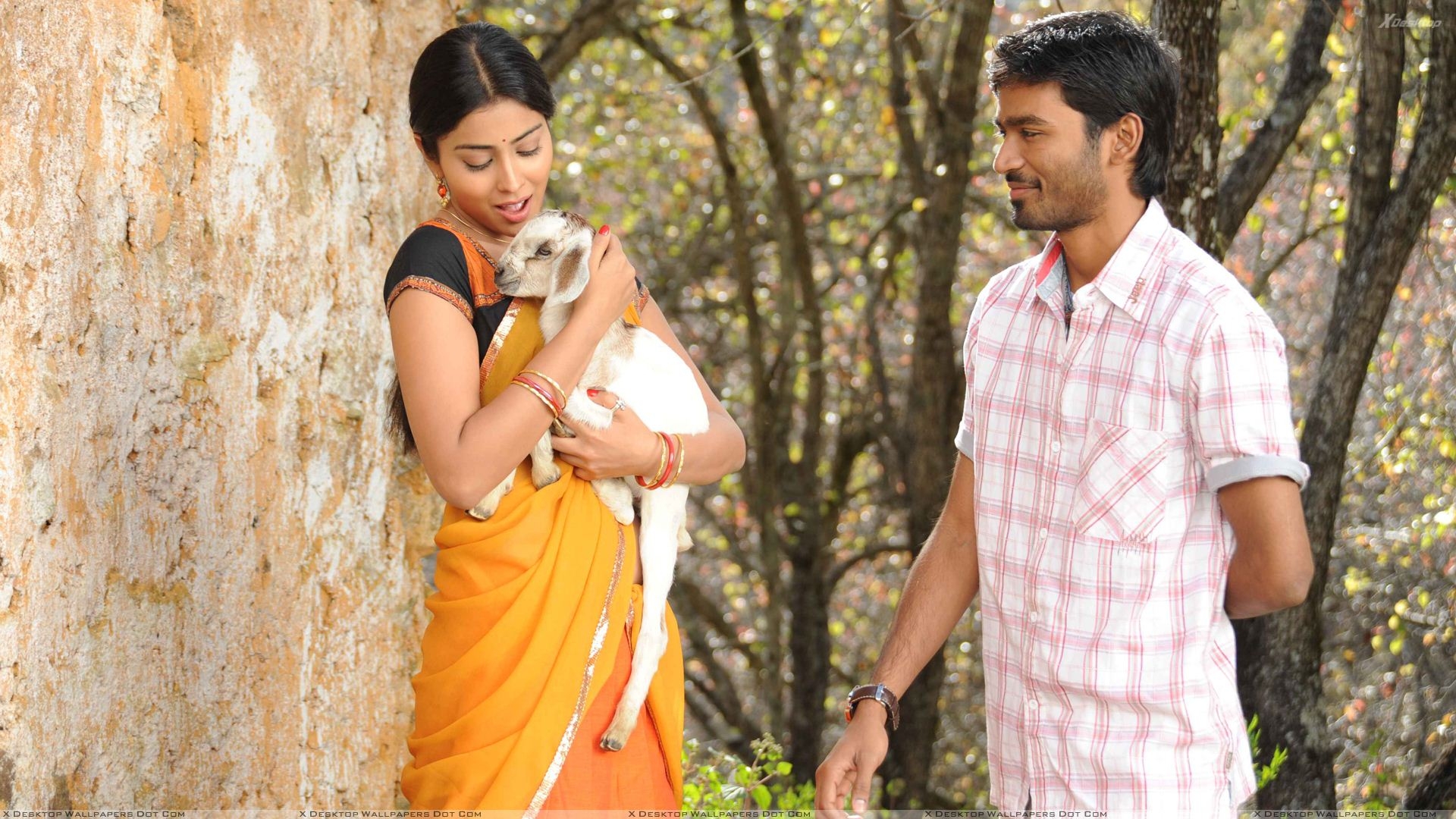 1920x1080 Shriya Saran In Yellow Saree N Dhanush Photohoot In Kutty Movie, Desktop